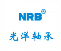 Koyo Bearing Shares